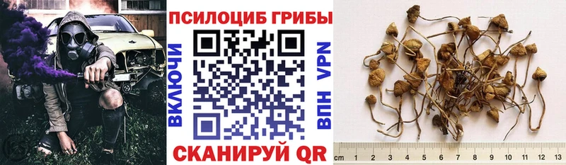 Псилоцибиновые грибы MAGIC MUSHROOMS  закладки  Саранск 