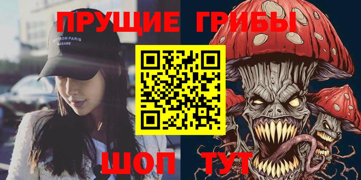 Псилоцибиновые грибы Psilocybe Саранск