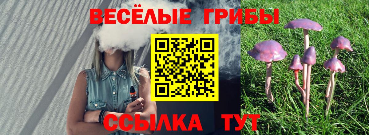 Галлюциногенные грибы ЛСД Саранск