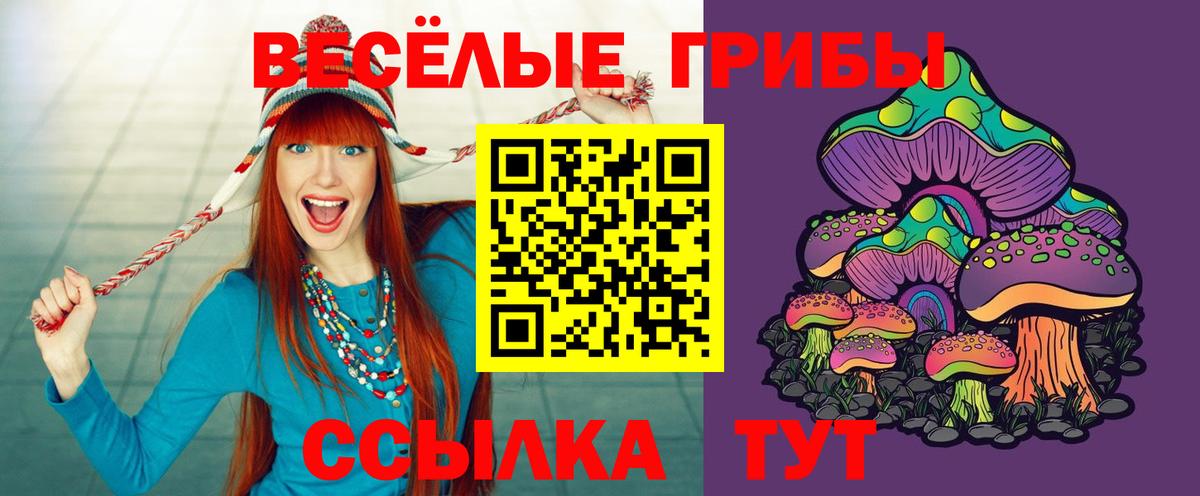 Галлюциногенные грибы Psilocybine cubensis  Галлюциногенные грибы мицелий  Вход с VPN  Саранск 